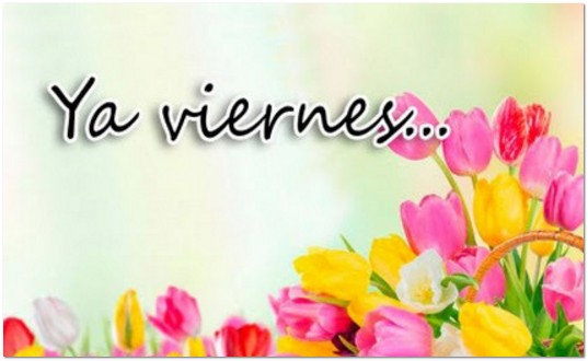 Viernes de primavera SAP - Consultoria