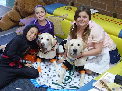 Yellow Lab career change dogs Adrienne and Atlas at work as 