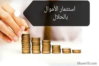 كيف تستثمر أموالك بالحلال في 4 مجالات بعيدة عن الربا