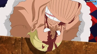 ワンピースアニメ ドレスローザ編 638話 エリザベロー | ONE PIECE Episode 638