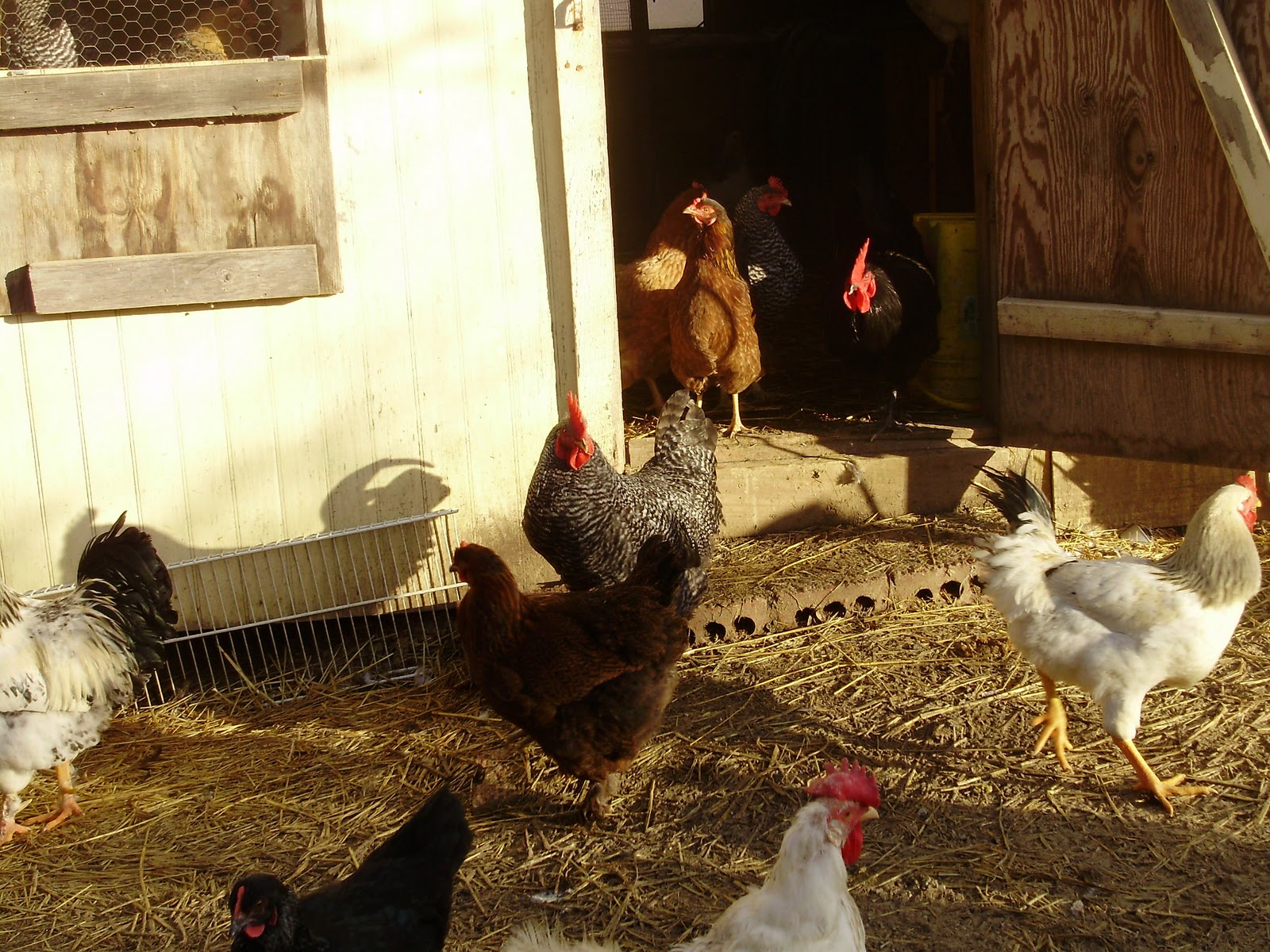 ... can also find pictures of victorian farm workers, victorian farm bbc