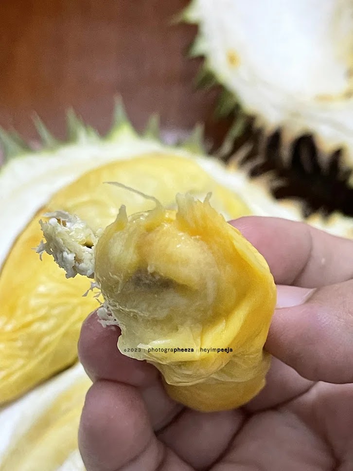 Isi Durian IOI