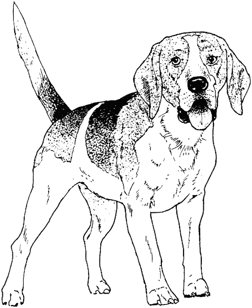 Coloring Pages Of Dogs And Cats Coloring Pages Coloring Dogs Dog Dog  Coloring Pages Print Dog