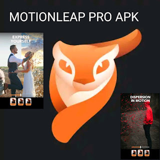 Motionleap Pro Apk