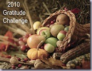 2010-Gratitude-Challenge-Button