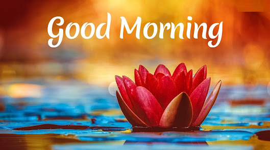 good morning sms in hindi for girlfriend; od morning sms hindi shayari; od morning quotes in hindi for whatsapp; od morning messages in hindi for whatsapp; od morning message in hindi for friend; od morning in hind; od morning in hindi quotes; od morning quotation hindi