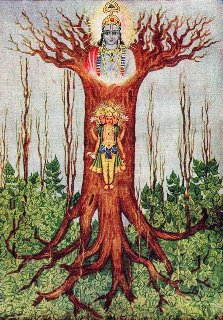 Vedic interpretration of Tree of Life, with roots (source/God) upwards, giving birth to different branches of Science (Vedic Science) coming forth below