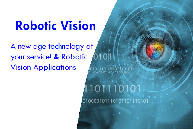 Robotic Vision