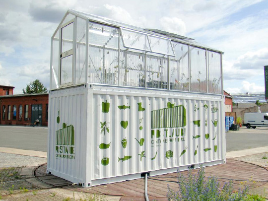 Urban Farming Aquaponics : An Write-up About Backyard Aquaponic ...