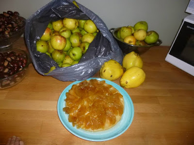 pommes de notre voisin, apples donated from the neighbours