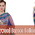Sarees 2013 2014 | Bollywood Sarees Collection | Fancy Party Wear Sarees