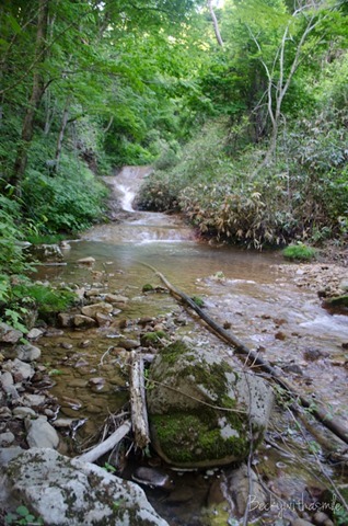 2013-06-29 Toya 043