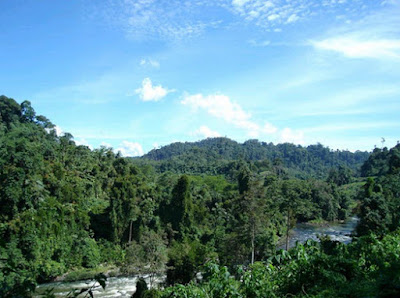 Taman Nasional Kerinci Seblat