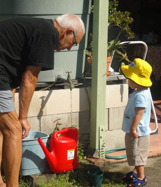 Water wise in the garden