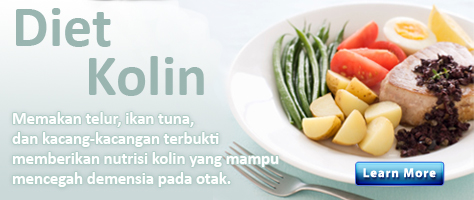 Bahan-bahan Mirip Vitamin tapi Bukan Vitamin