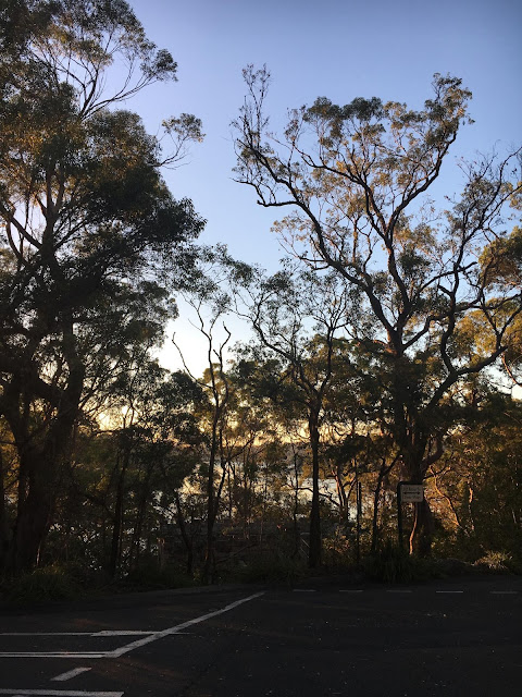 Early Mornings in Oatley Park