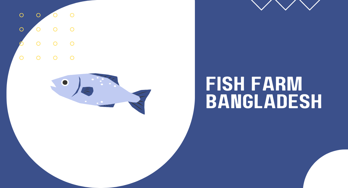 Start fish farm bangladesh