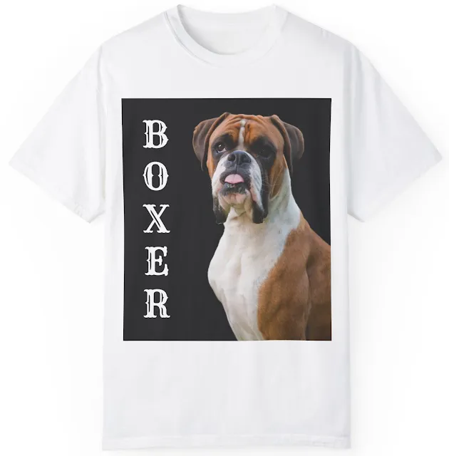Unisex Comfort Colors T-Shirt With Giant Boxer Dog Having Light Brown Body and White Chest and Text BOXER Vertically