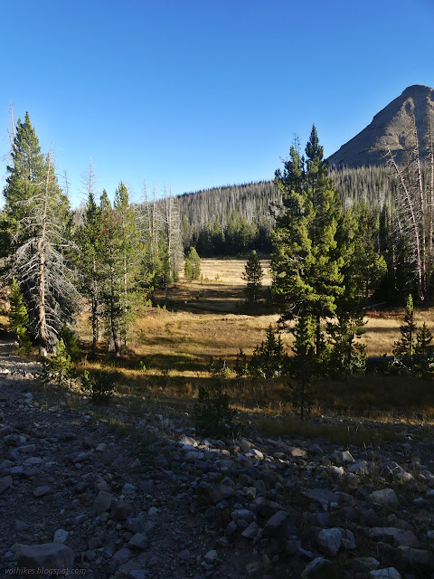 30: dry grassy meadow