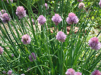 chives