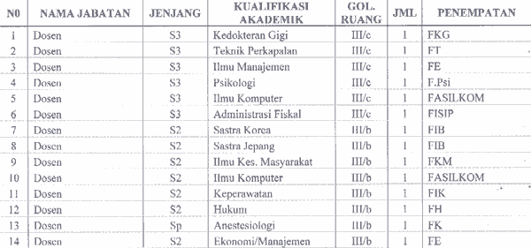 CPNS Universitas Indonesia 2013