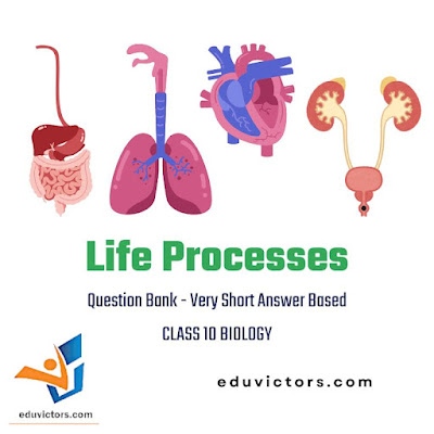 Class 10 - Biology - Life Processes - Question Bank - Very Short Answer Based Questions #eduvictors #class10Biology