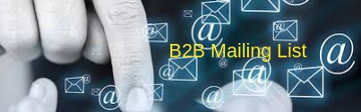 B2B Mailing List 