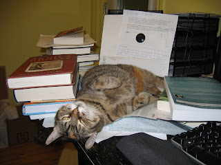 Upside down cat leaning against books