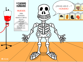 http://www.jugarconjuegos.com/juegos%20educativos/JUEGO%20MUSCULOS%20Y%20HUESOS.htm