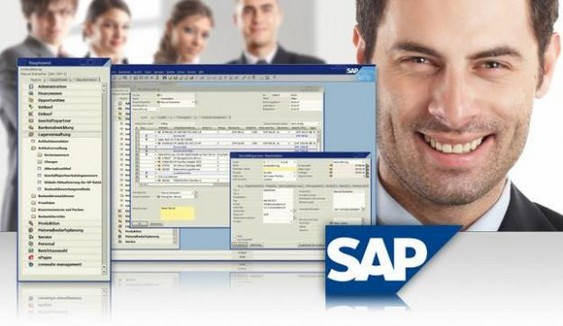 Profesionales Consultoría SAP