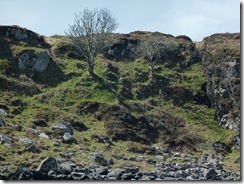 site of the vitrified fort