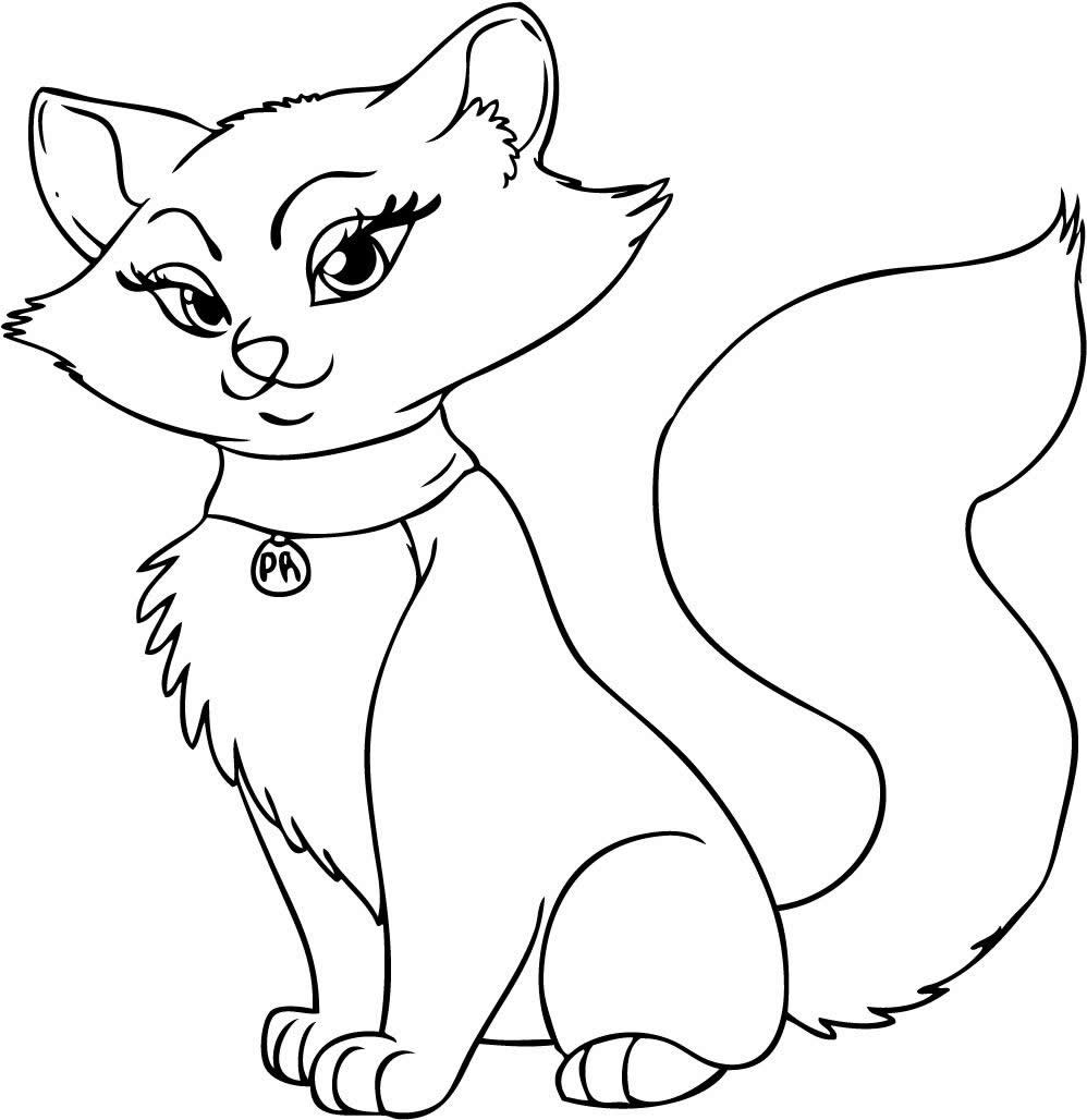 How to Draw Cute Cartoon Cat Drawings