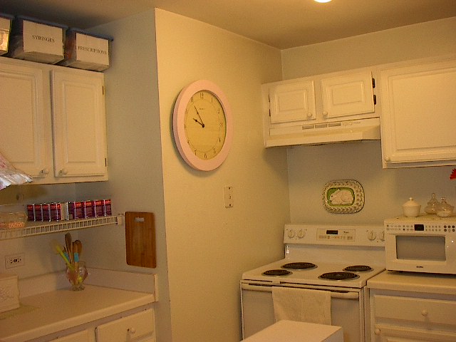 Apartment Kitchen Design Pictures