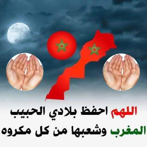 كورونا ”آلو يقظة” 0810004747.. آلية لتوجيه المواطنين حالة بحالة بخصوص الفيروس  