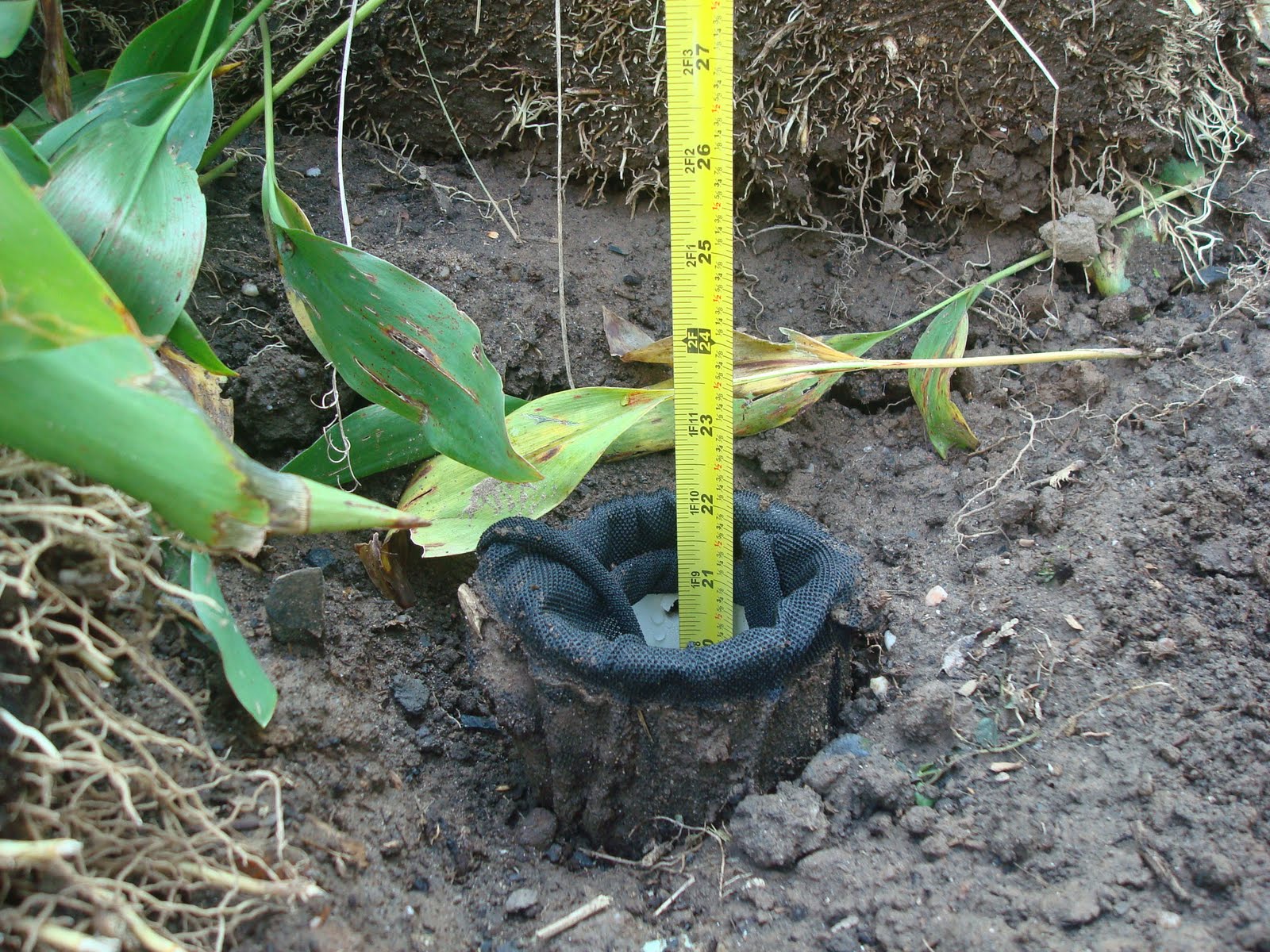 Landscaping Drainage Pipe