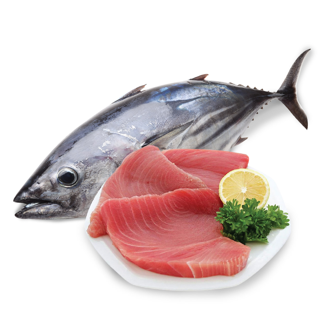 Cá ngừ là thực phẩm giảm cân hàng đầu
