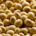 Soybean Health Benefits