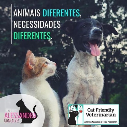 Animais Diferentes, necessidades diferentes