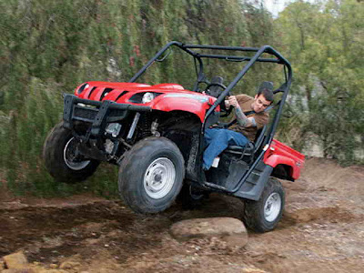 Yamaha Rhino