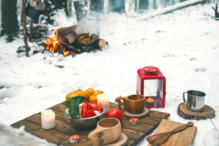 Winter Picnic in Nature