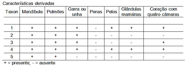 Quatro vertebrados são ordenados de acordo com o compartilhamento de caracteres únicos derivados, de acordo com a seguinte demonstração