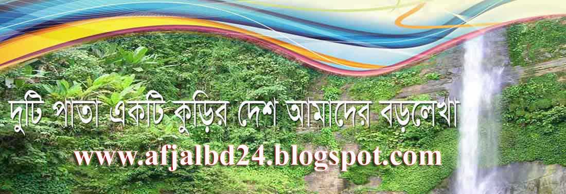 দুটি পাতা একটি কুড়ির দেশ আমাদের বড়লেখা