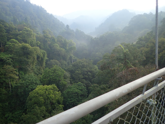 situ gunung suspension bridge, jembatan gantung terpanjang se-asia tenggara