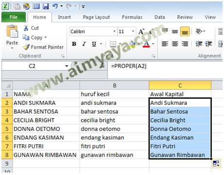  Gambar: Contoh Hasil Pemakaian Fungsi PROPER() untuk Daftar Nama