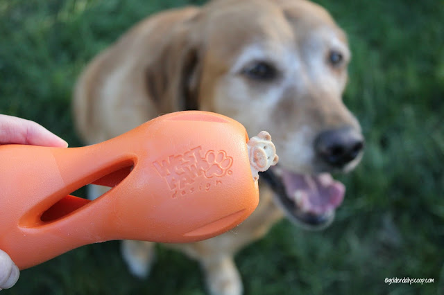 durable dog toys for powerful chewers