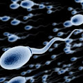 Lima Kebiasaan Ini Perburuk Kesehatan Sperma