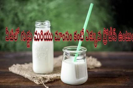 protein food then egg and meat, high protein foods in veg, protein rich food in veg, high protein vegetarian foods, foods with more protein then an egg, high protein foods than egg and meat, telusukundam randi, telugulo, health and beauty tips, health tips telugu, best health tips in telugu, health tips in telugu, high protein foods list, protein replacement for meat, high protein foods than eggs and meat telugu, protein foods list in telugu, protein foods in veg, simple health tips telugu, simple health tips in telugu, telugu health tips, health tips in telugu