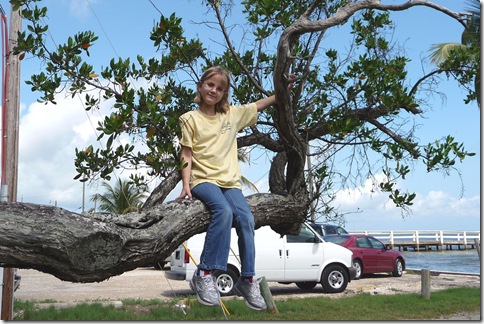 Tree climbing - Rachel