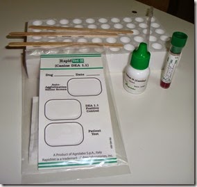 test-gruppo-sanguigno-cane-1