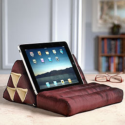 e-reader and kindle pillow 